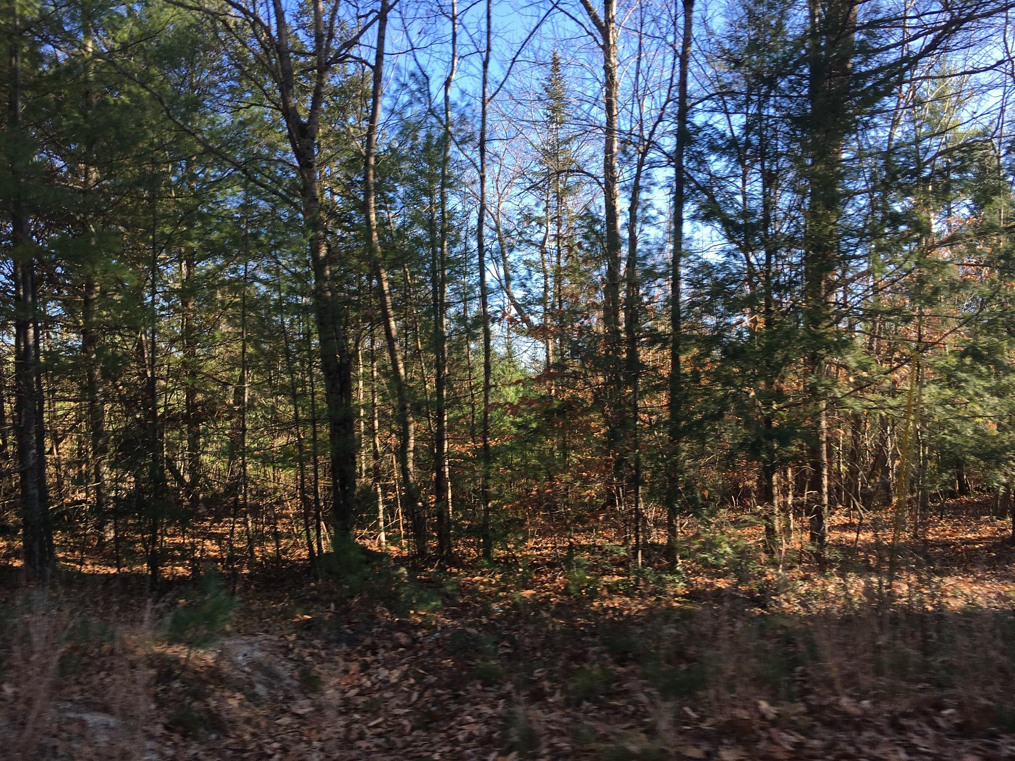 25-acres Sebago Road East Baldwin, ME 04024 - Photo 3 of 4 089AEF9E-C9B9-457B-8BC3-11433349100E