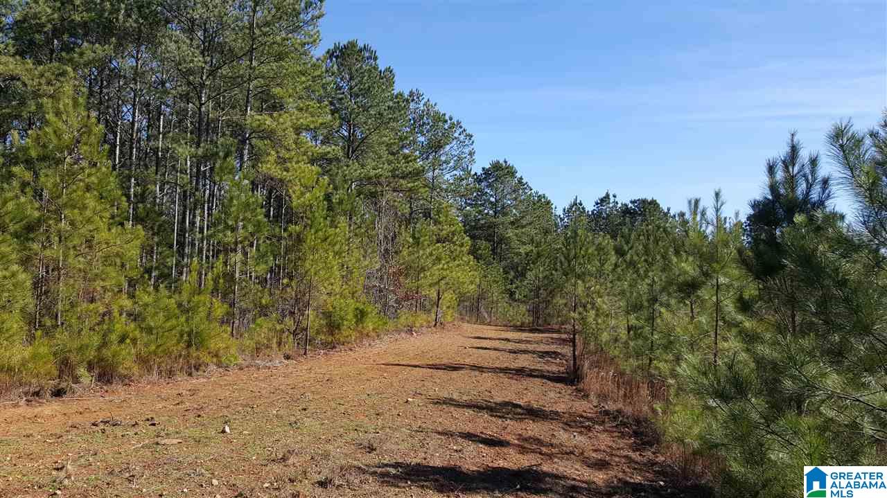 0 Baggett Road, Unit 78 / ACRES Ashland, AL 36251 - Photo 4 of 13