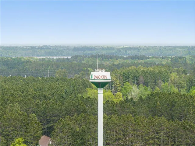 $238,900 | 114 Washburn Avenue, Backus, MN 56435