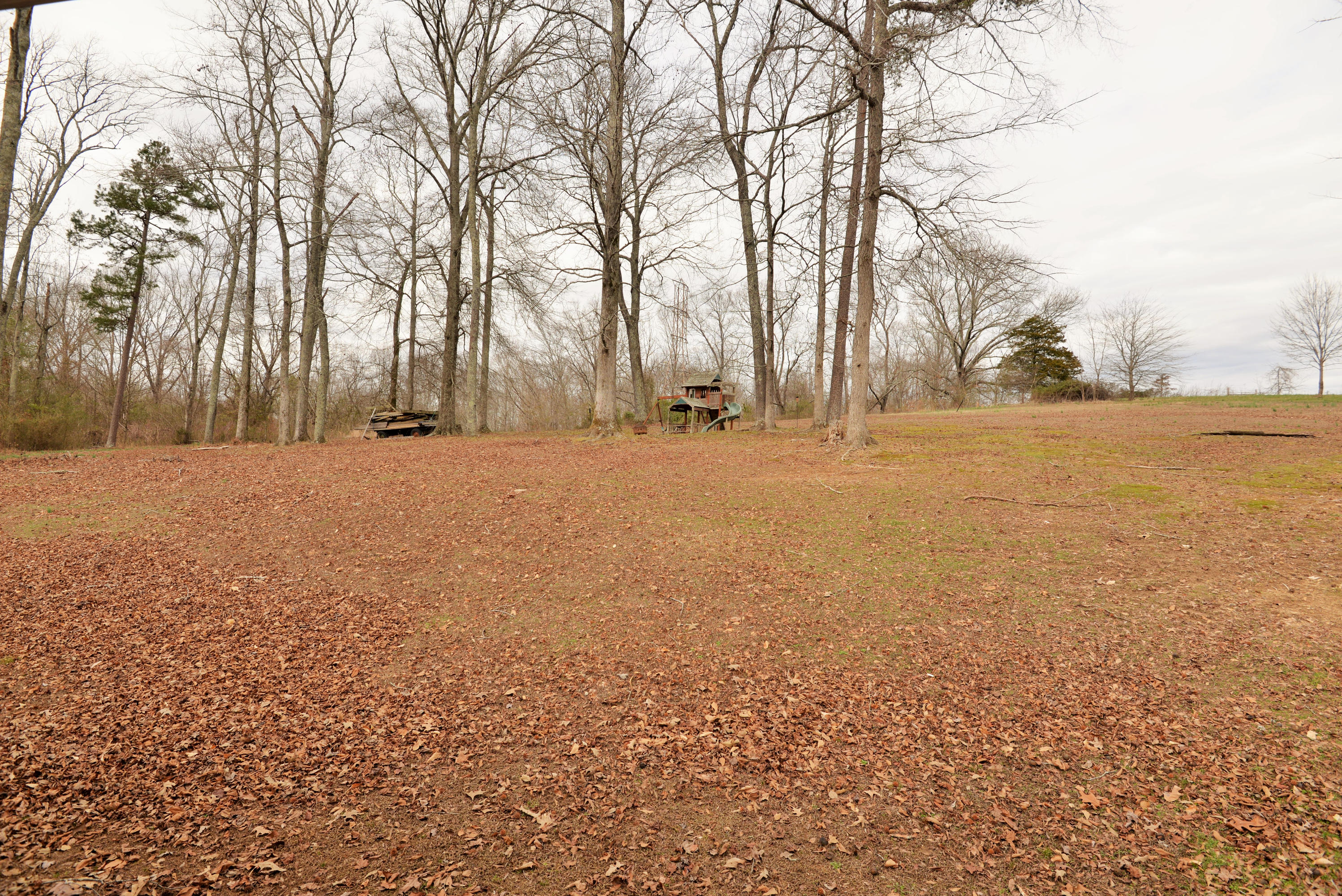 850 Stepping Stone Road Whitwell, TN 37397 - Photo 32 of 36 DSC_9349 (2)