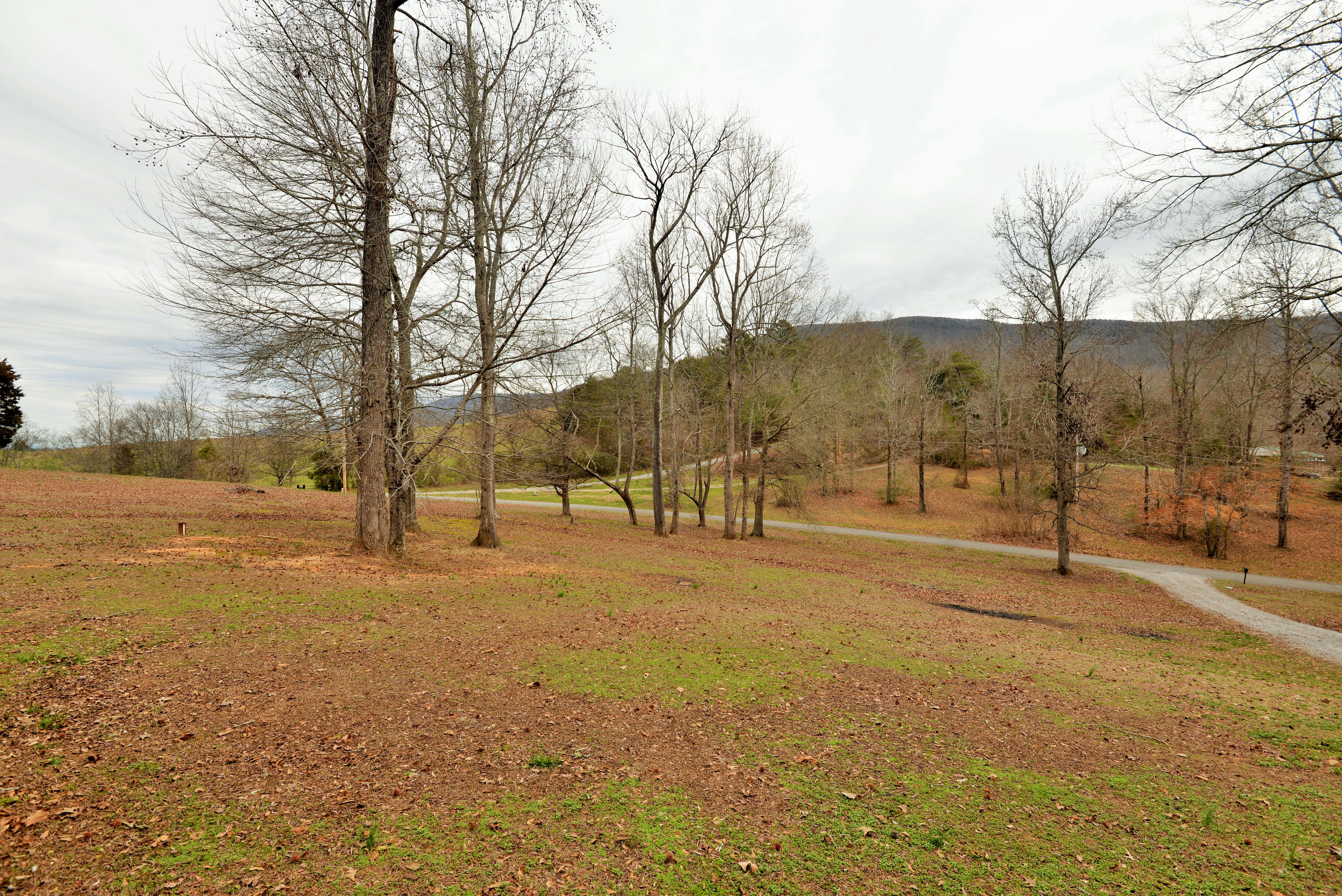 850 Stepping Stone Road Whitwell, TN 37397 - Photo 35 of 36 DSC_9376 (2)
