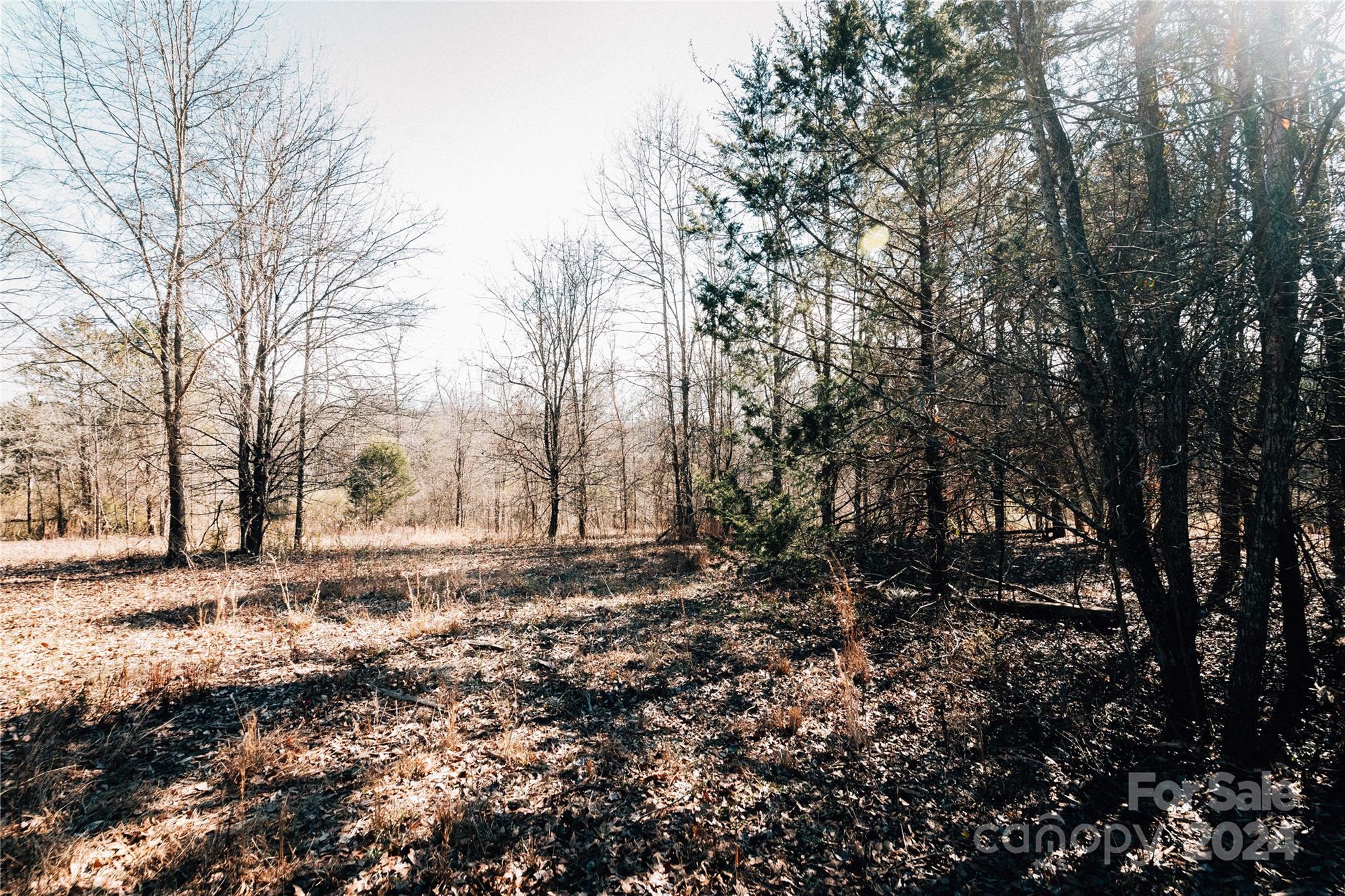740 Hamrick Road Shelby, NC 28152 - Photo 38 of 48 Gallery Image 38