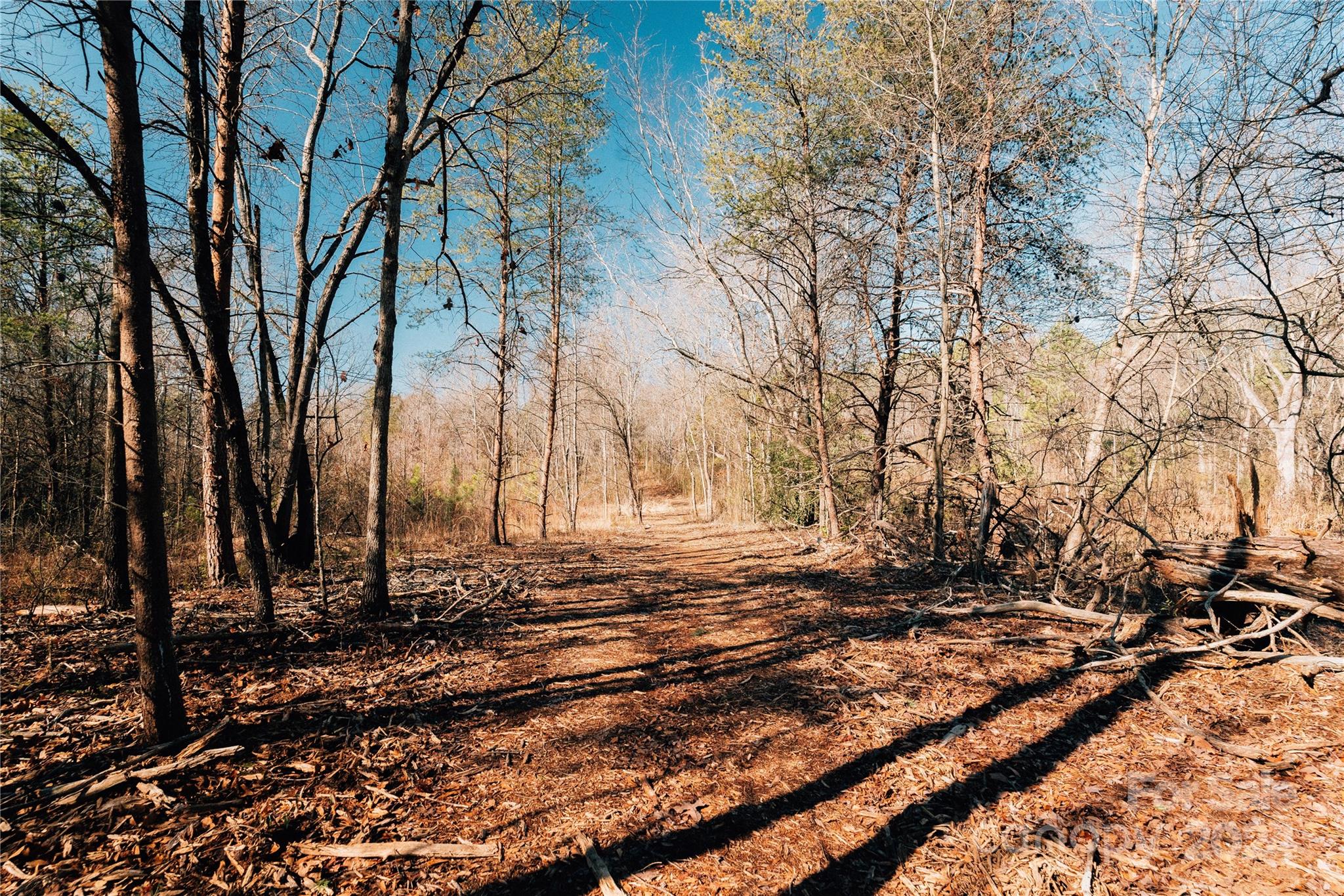 740 Hamrick Road Shelby, NC 28152 - Photo 46 of 48 Gallery Image 46
