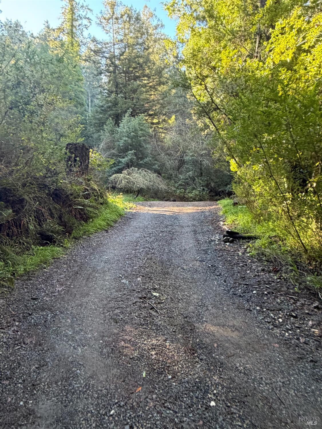 136 Lagunitas Road Lagunitas, CA 94938 - Photo 2 of 7