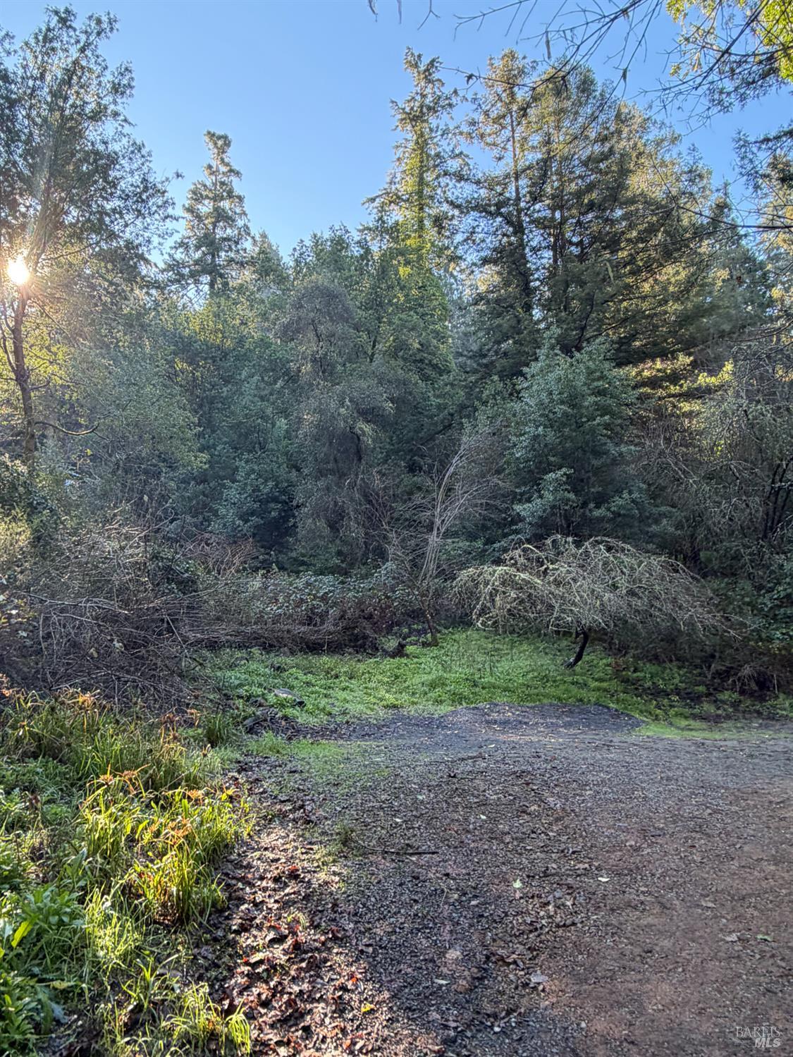 136 Lagunitas Road Lagunitas, CA 94938 - Photo 3 of 7