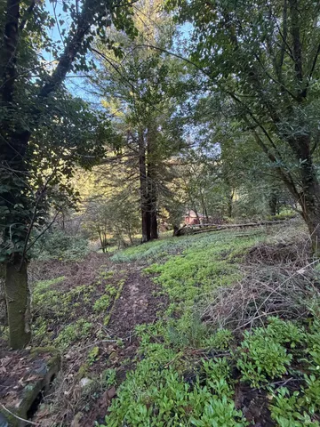$250,000 | 136 Lagunitas Road, Lagunitas, CA 94938