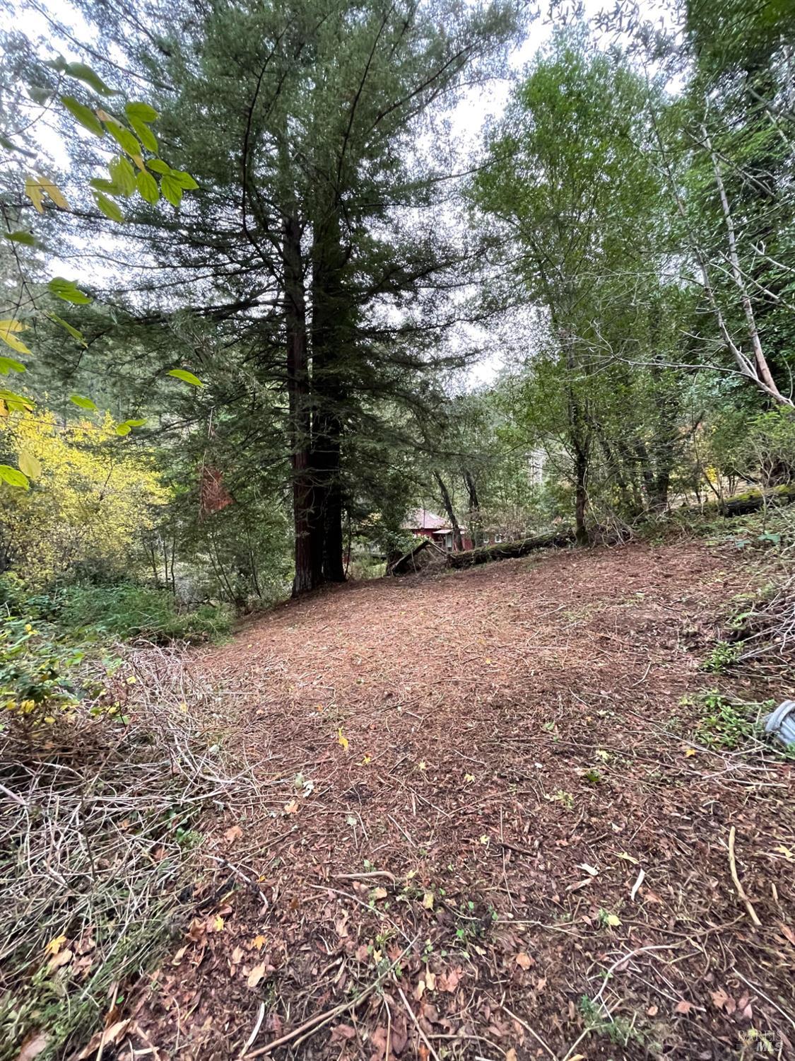 136 Lagunitas Road Lagunitas, CA 94938 - Photo 6 of 7