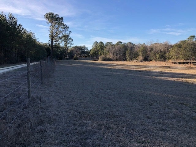 15-ac Cravey Bridge Road Florala, AL 36442 - Photo 6 of 16 Gallery Image 6