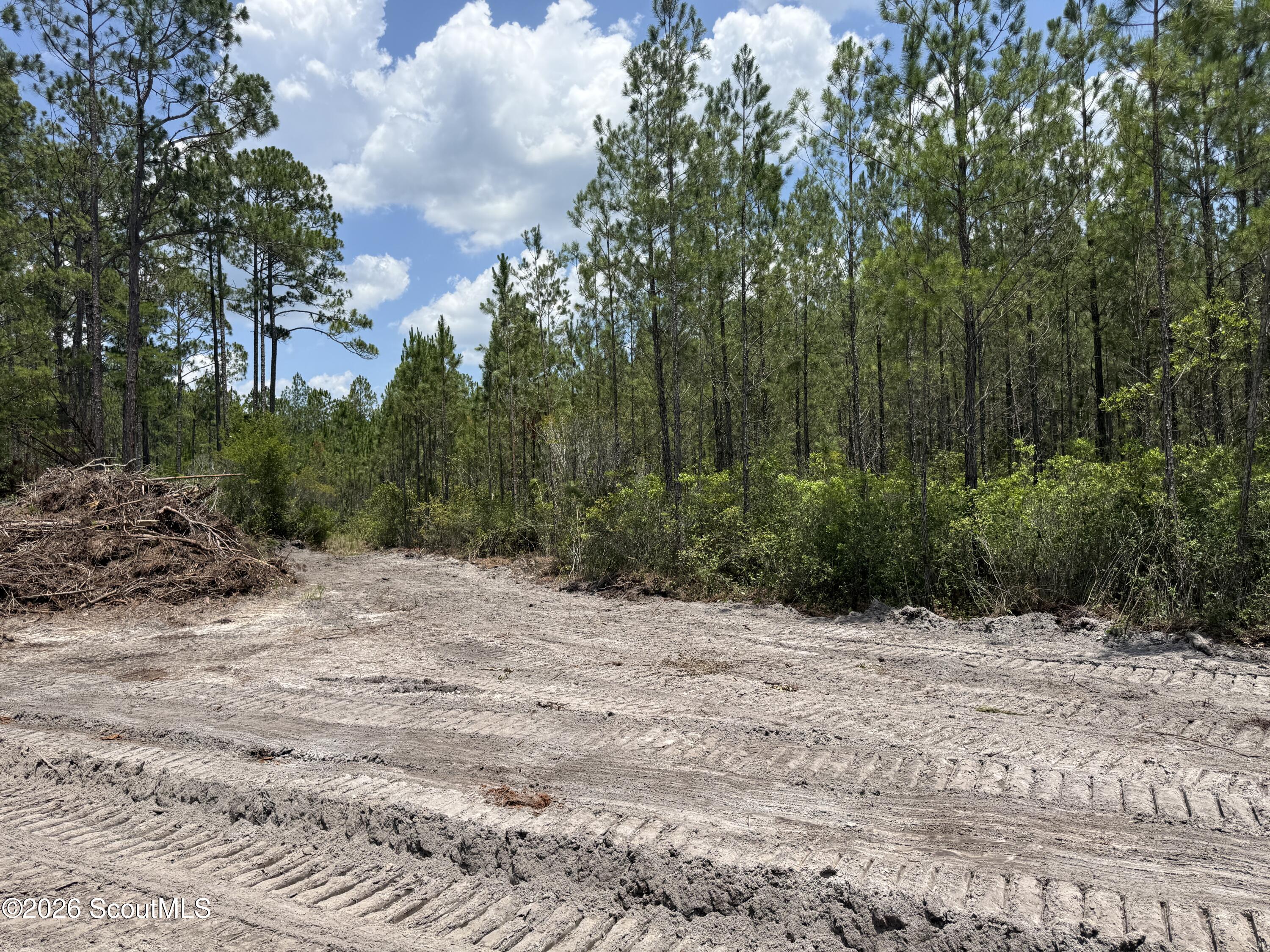 Lot 9 Corbitt Road, Unit LOT 9 Manor, GA 31550 - Photo 6 of 11 IMG_8053