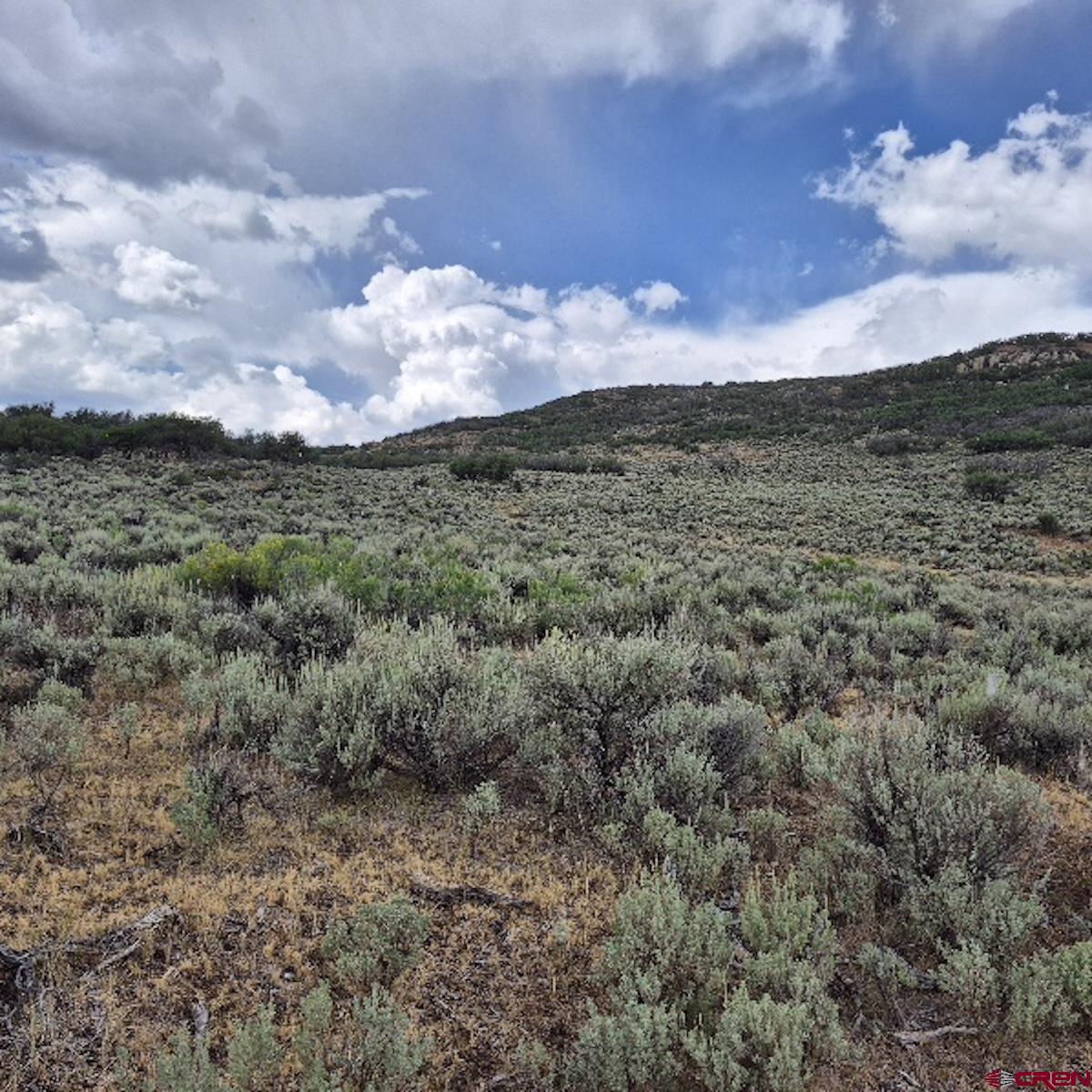 8 Harrison Creek Road Collbran, CO 81624 - Photo 20 of 40 Gallery Image 20