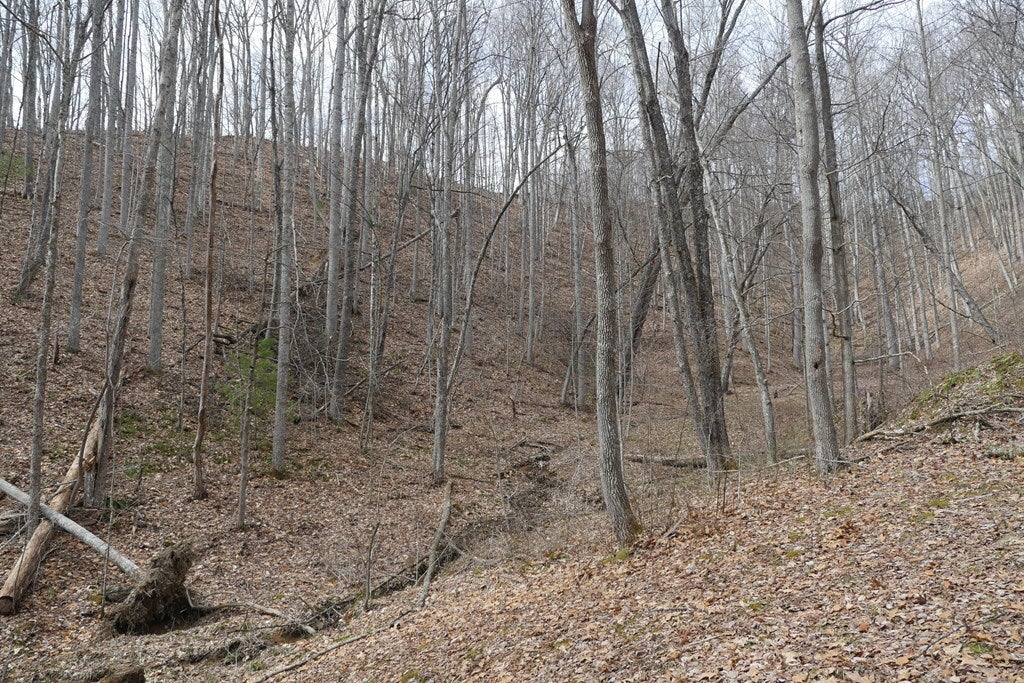 Tbd Reynolds Ridge Road, Unit 1 Bandy, VA 24602 - Photo 33 of 44 Gallery Image 33