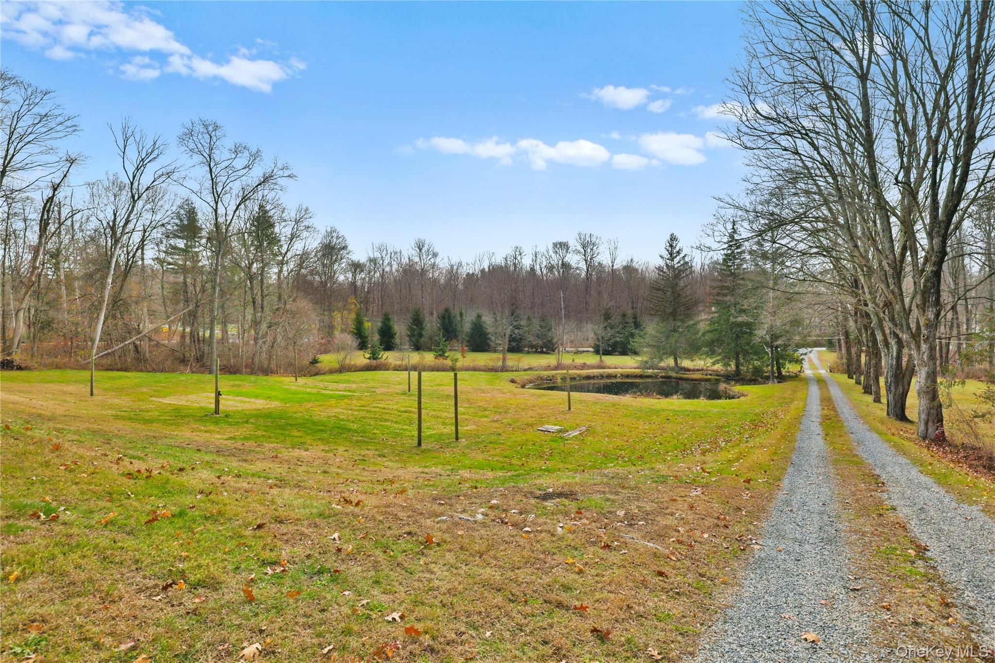 353 Turk Hill Road Brewster, NY 10509 - Photo 29 of 31 View of driveway