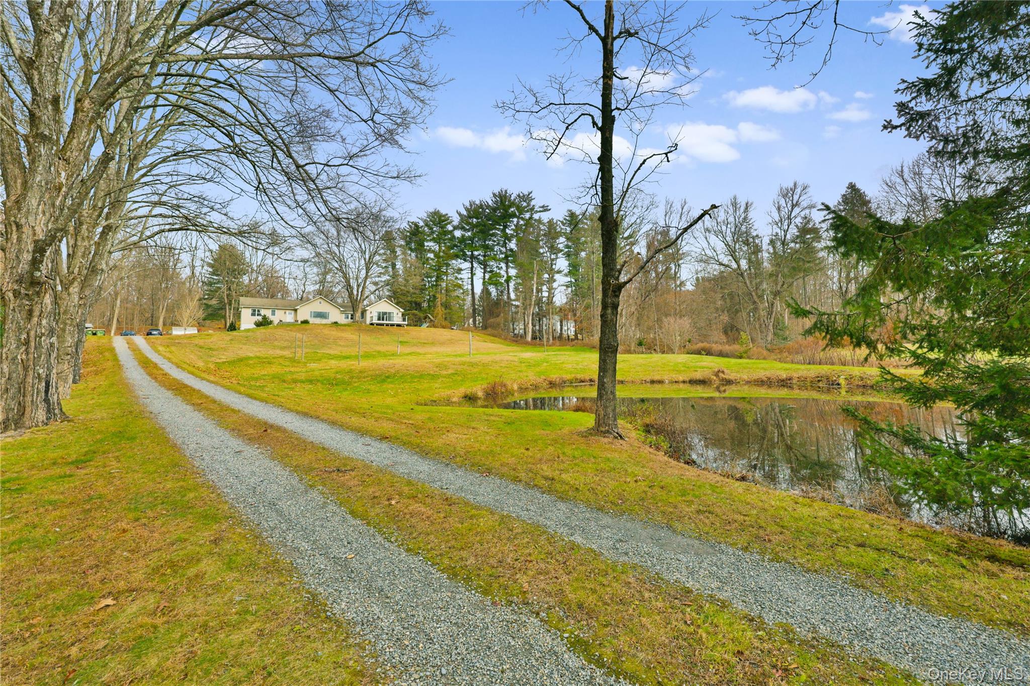 353 Turk Hill Road Brewster, NY 10509 - Photo 30 of 31 View of driveway and pond.