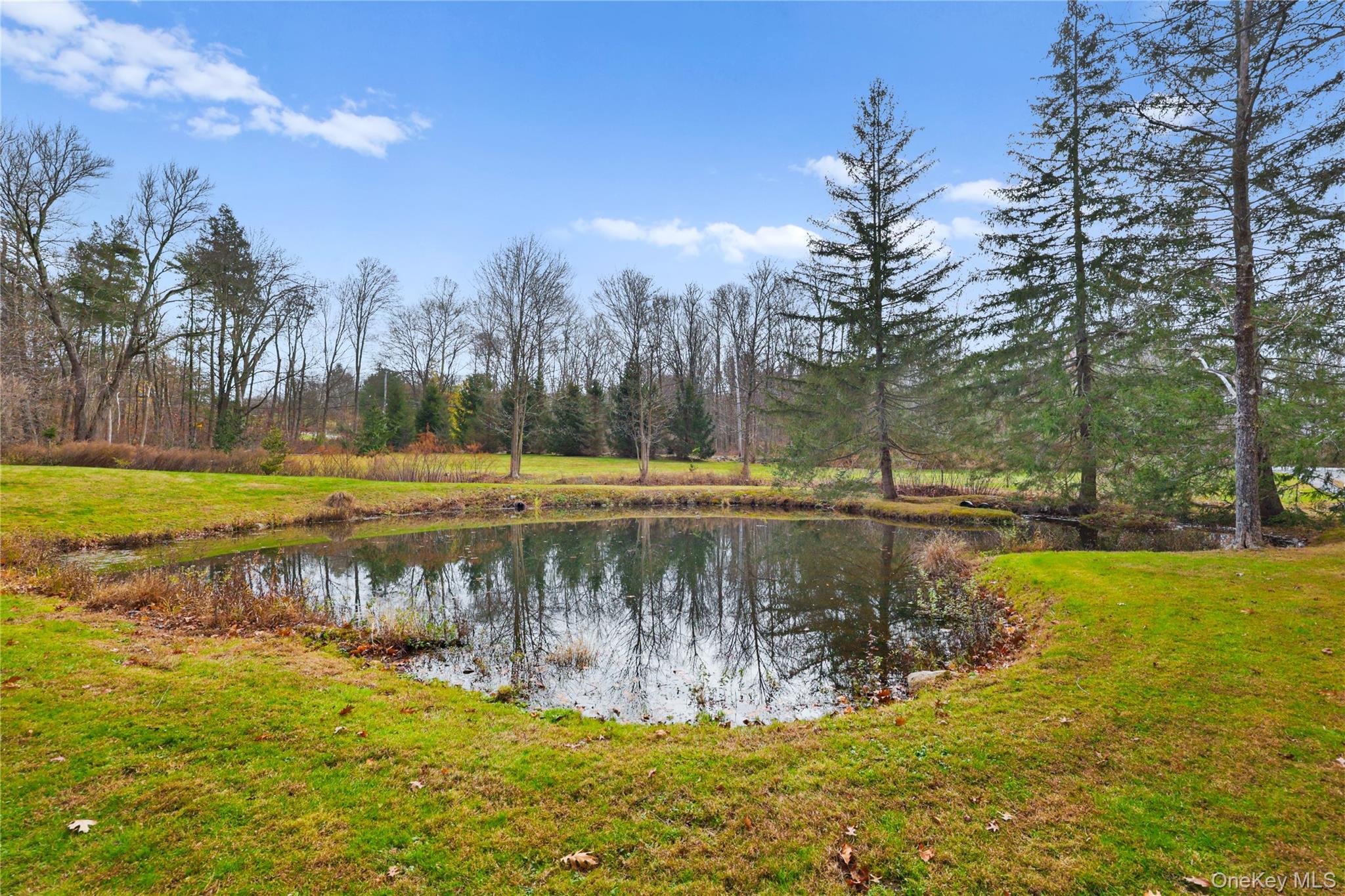 353 Turk Hill Road Brewster, NY 10509 - Photo 31 of 31 View of pond.