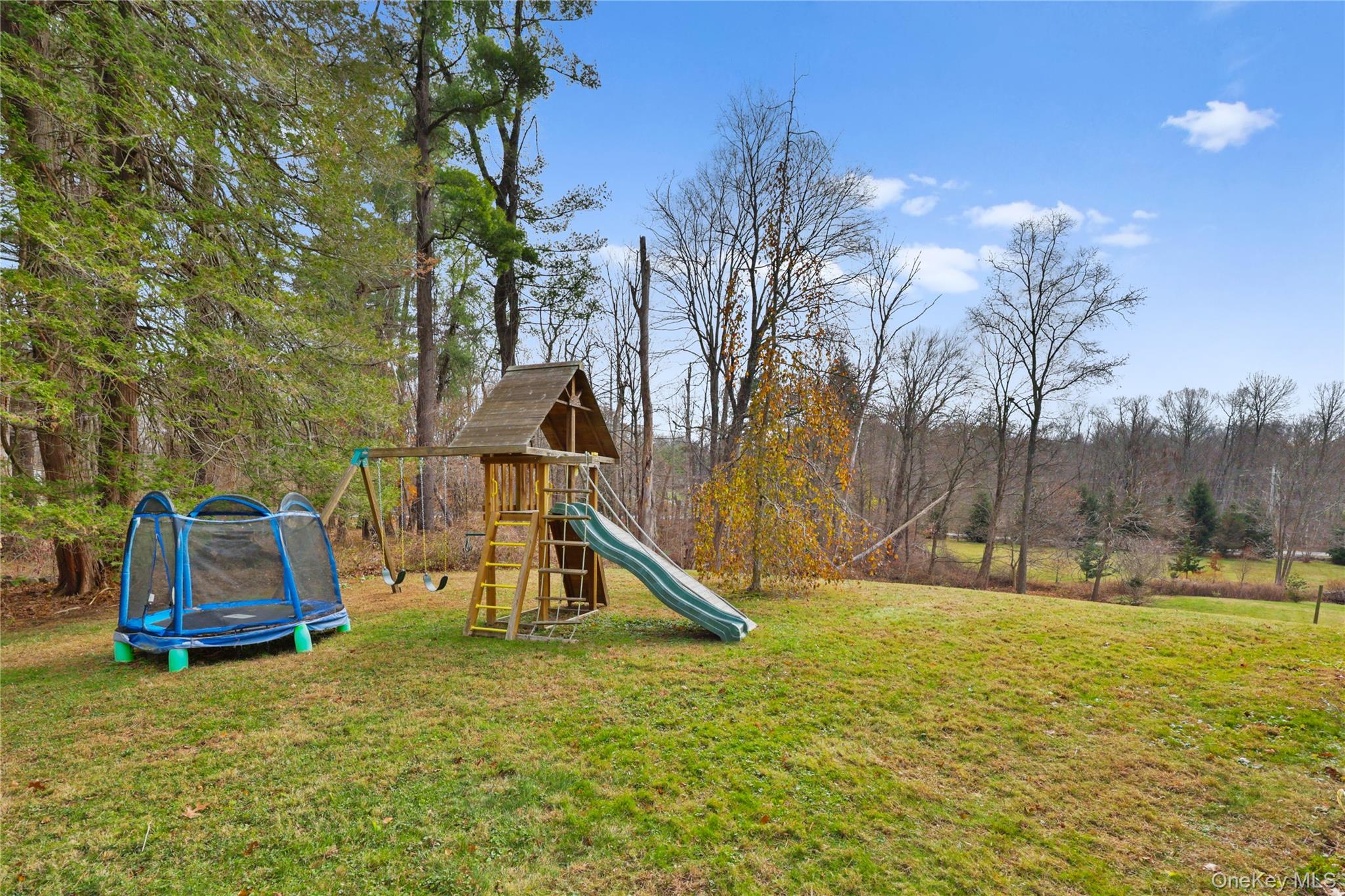 353 Turk Hill Road Brewster, NY 10509 - Photo 6 of 31 View of playground and a lawn.