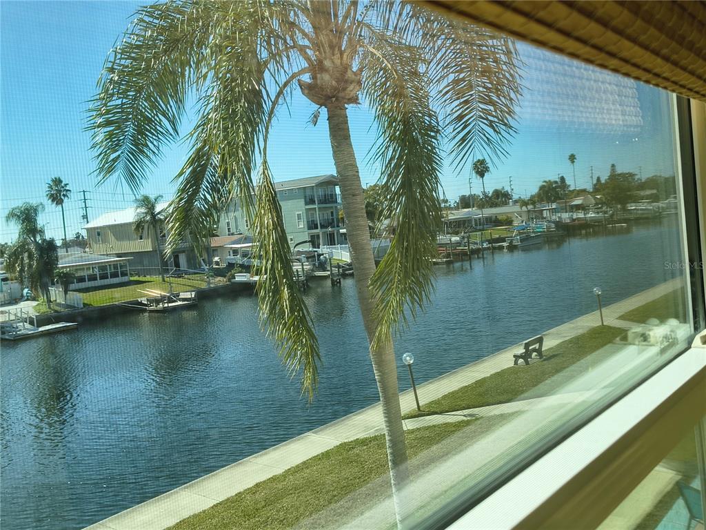 a view of a lake with a palm trees