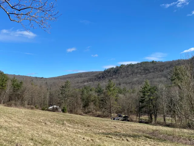 a view of a outdoor space with green field and mountains
