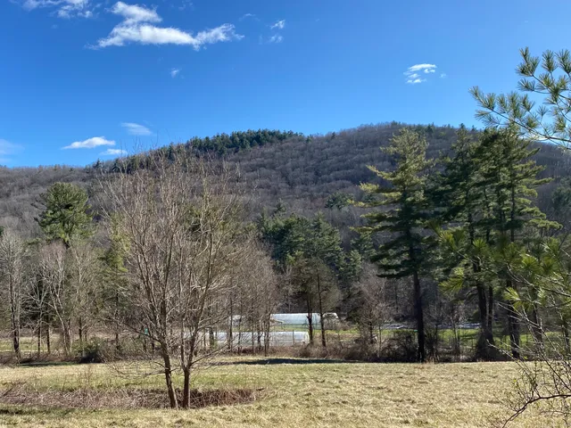 a view of a yard with a tree