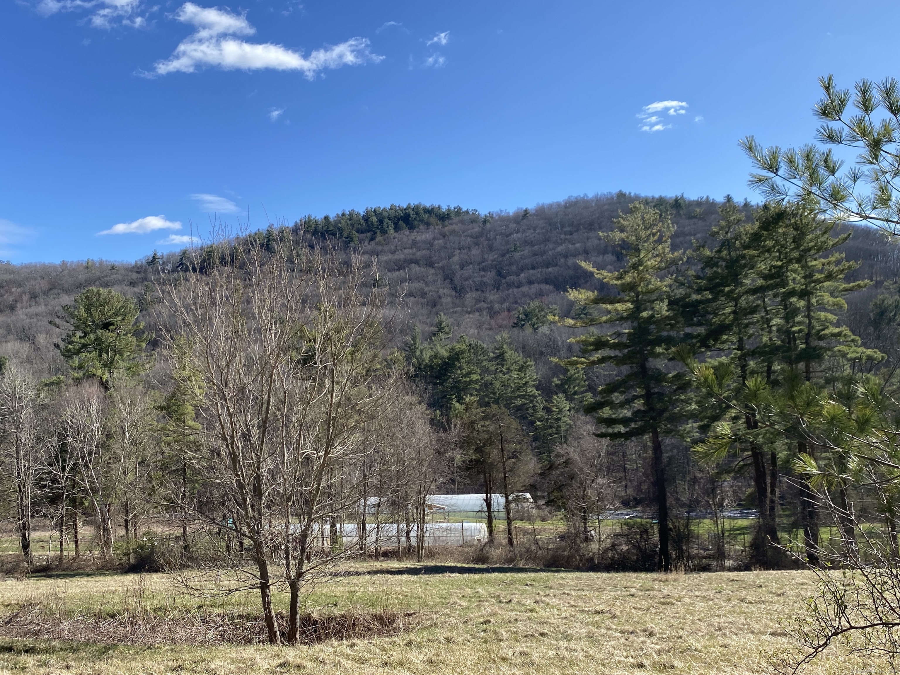 198-4 Beebe Hill Road Falls Village, CT 06031 - Photo 2 of 7 a view of a yard with a tree