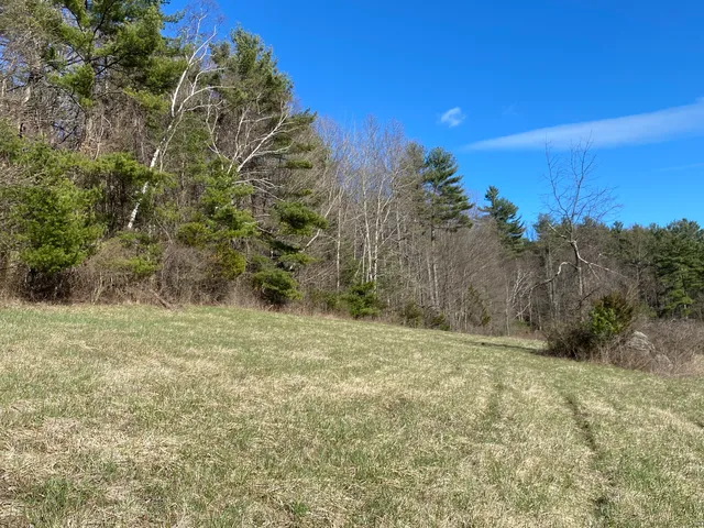 a view of a field with an trees