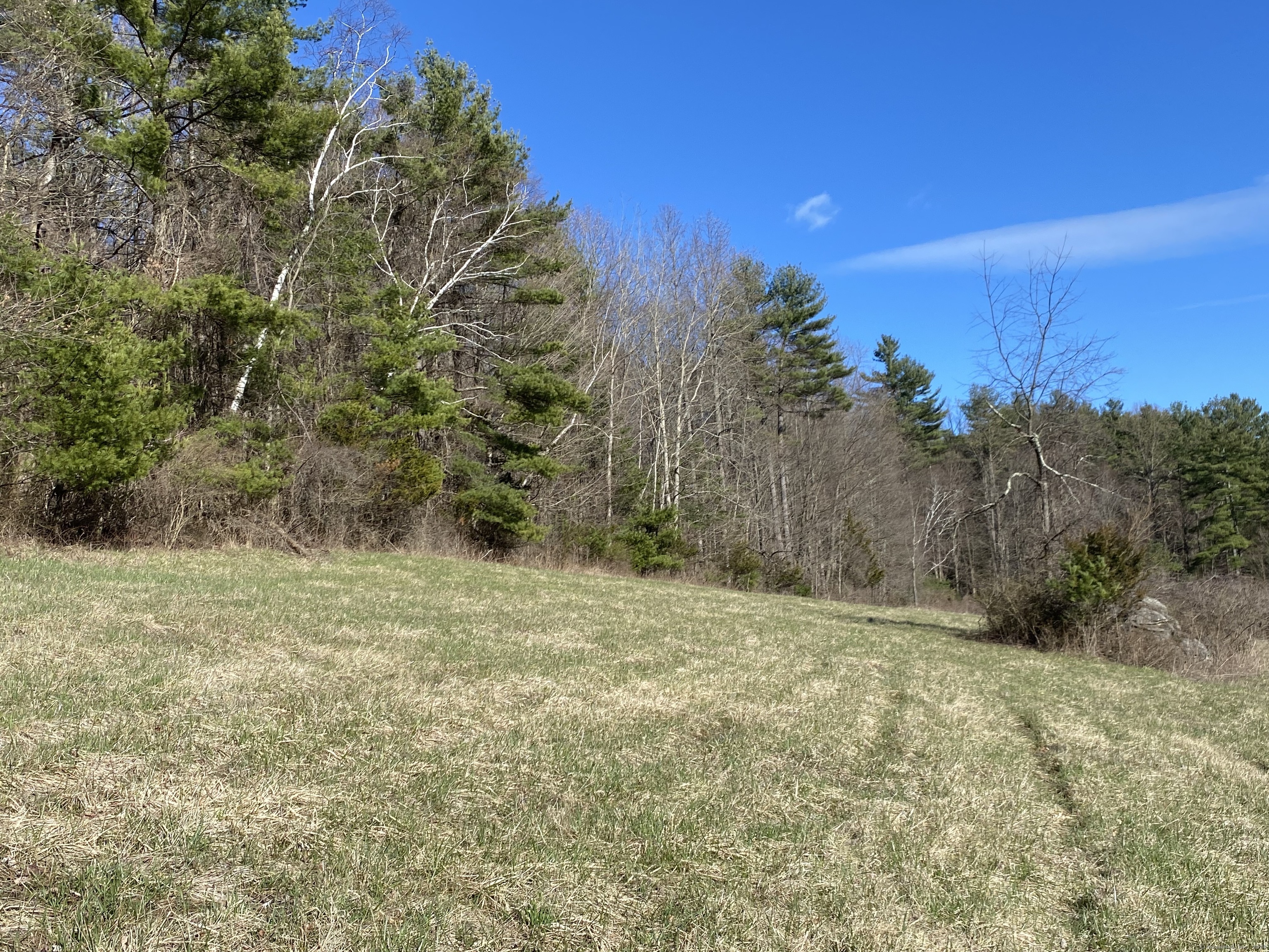 198-4 Beebe Hill Road Falls Village, CT 06031 - Photo 3 of 7 a view of a field with an trees