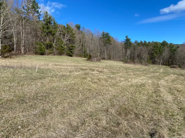 a view of dirt field with trees in the background