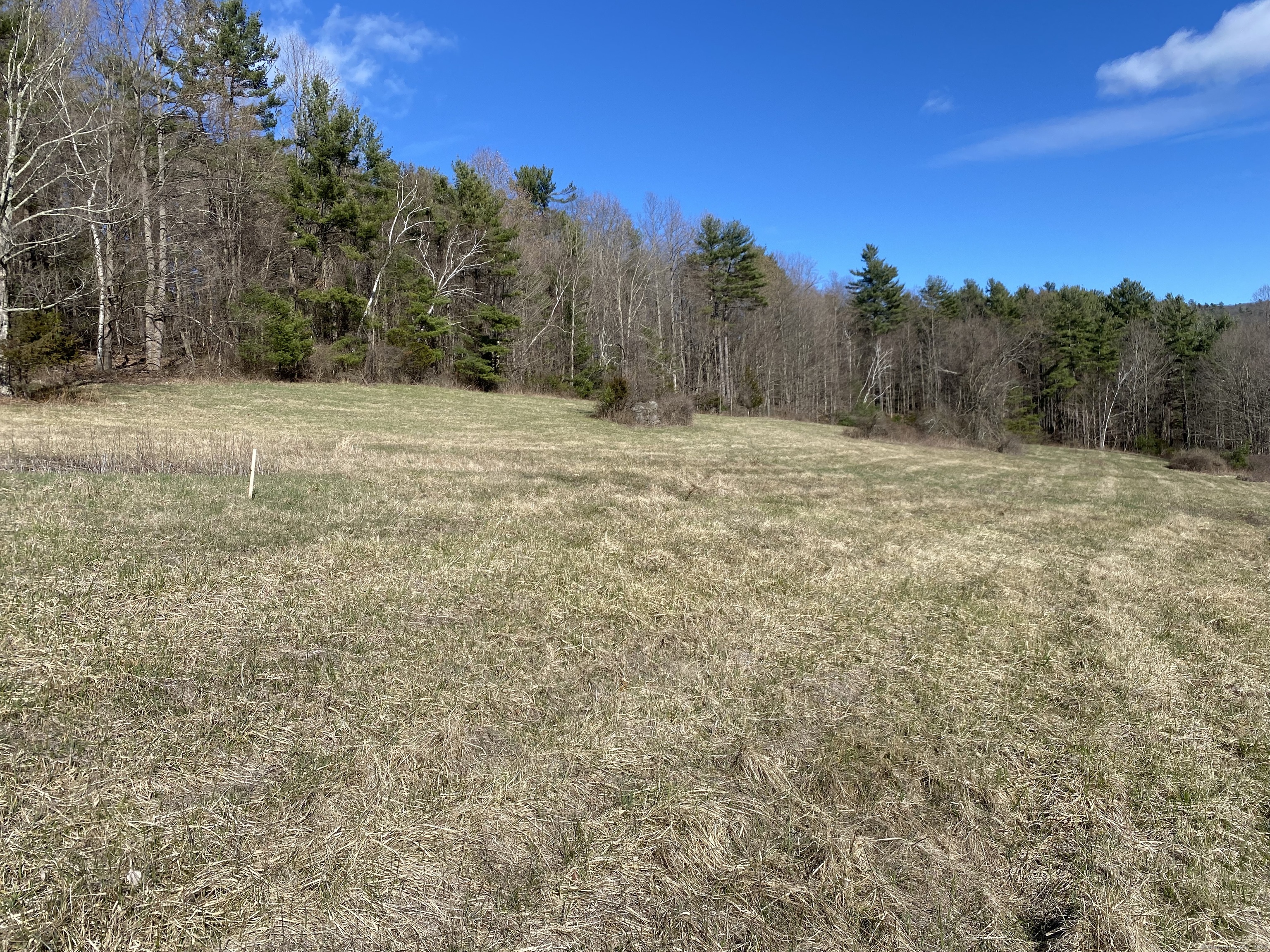 198-4 Beebe Hill Road Falls Village, CT 06031 - Photo 4 of 7 a view of dirt field with trees in the background
