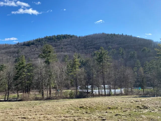 a view of outdoor space with deck and yard