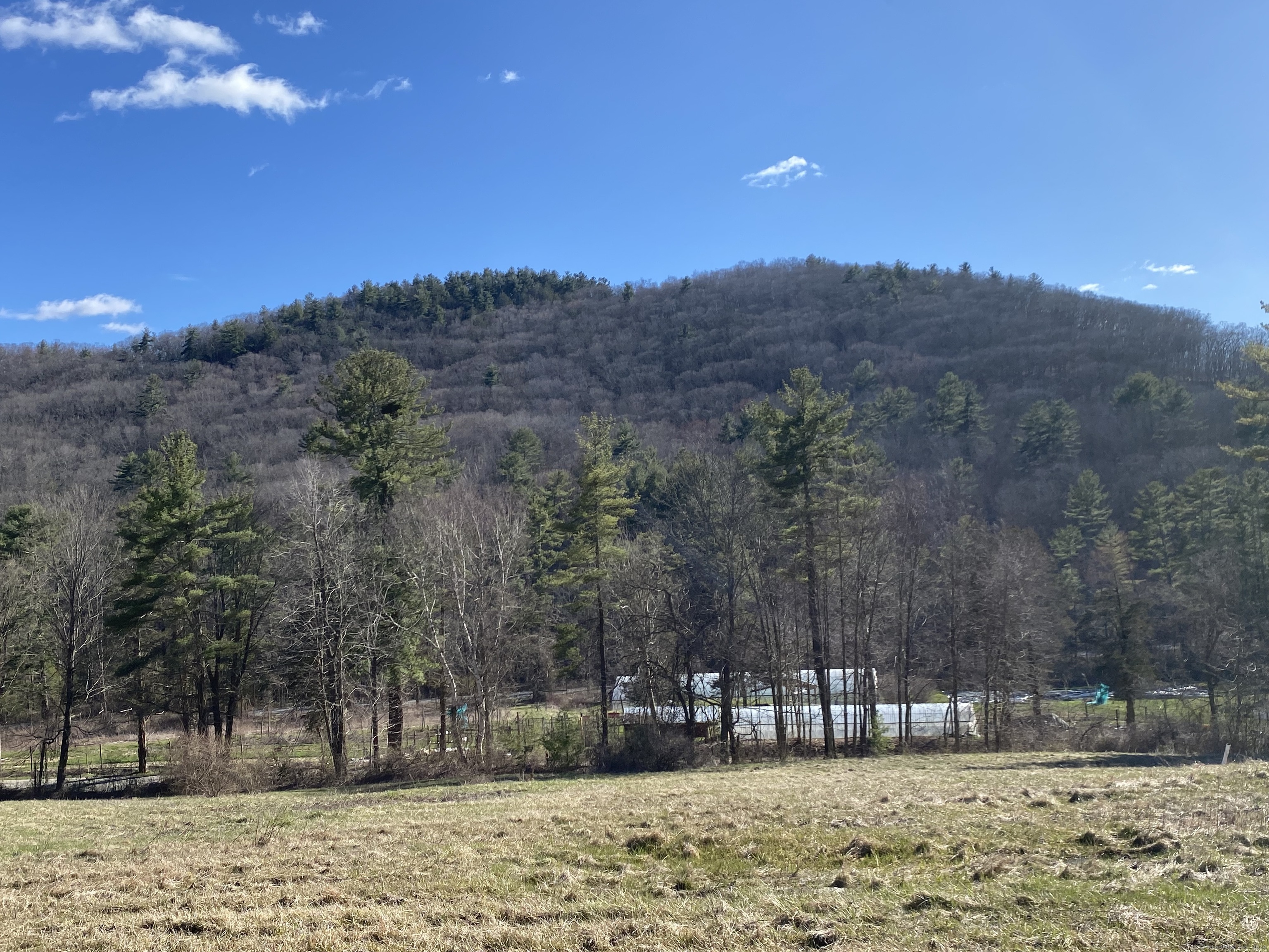 198-4 Beebe Hill Road Falls Village, CT 06031 - Photo 5 of 7 a view of outdoor space with deck and yard