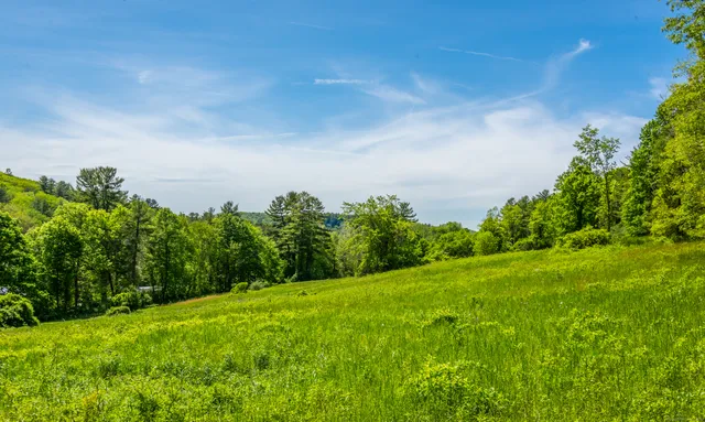 a backyard of a house with lots of green space
