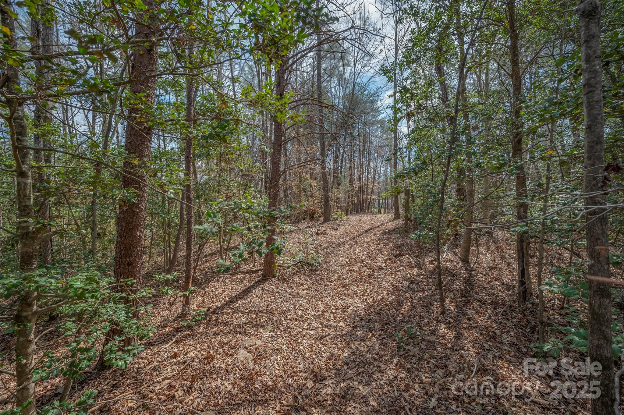 582 County Line Road Rutherfordton, NC 28139 - Photo 21 of 28