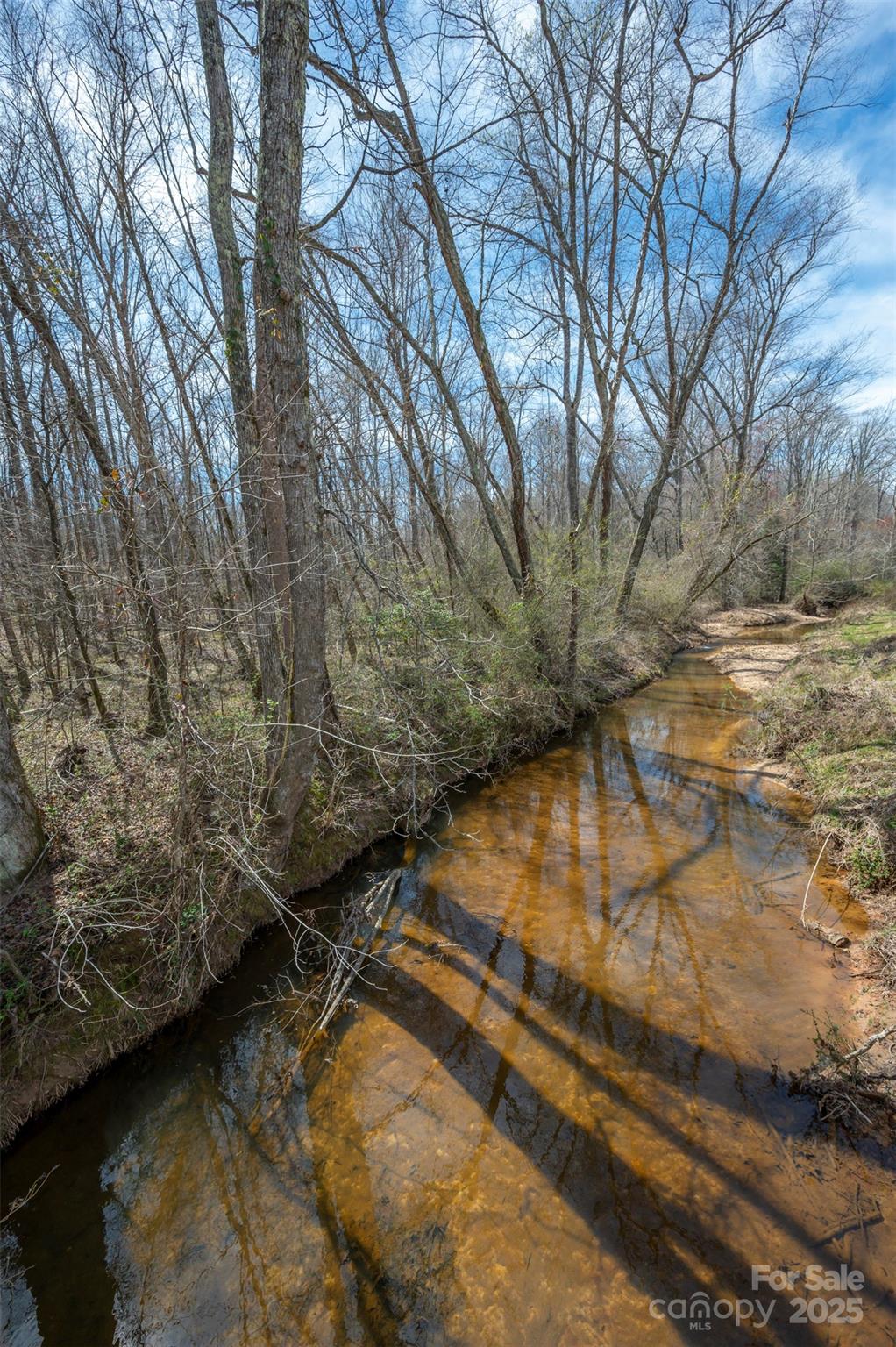 582 County Line Road Rutherfordton, NC 28139 - Photo 27 of 28