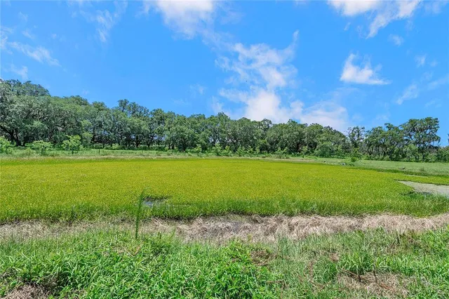 $999,900 | 7405 Williams Road, Seffner, FL 33584