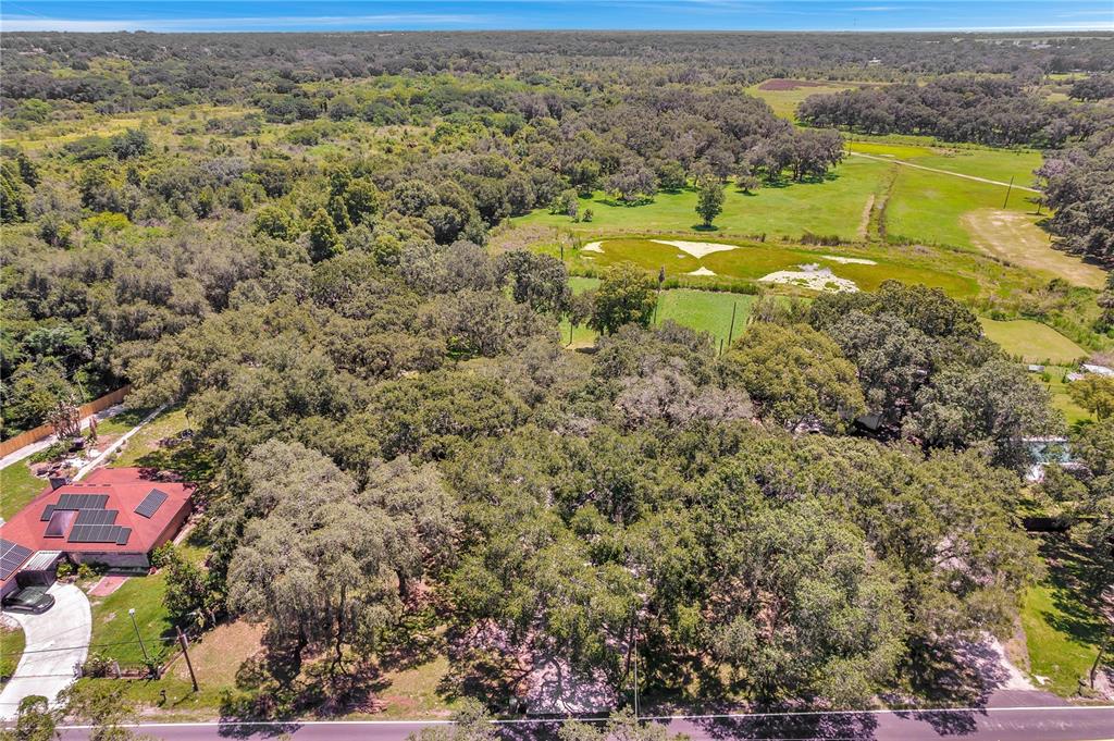 7405 Williams Road Seffner, FL 33584 - Photo 98 of 100 a view of a yard with an outdoor space