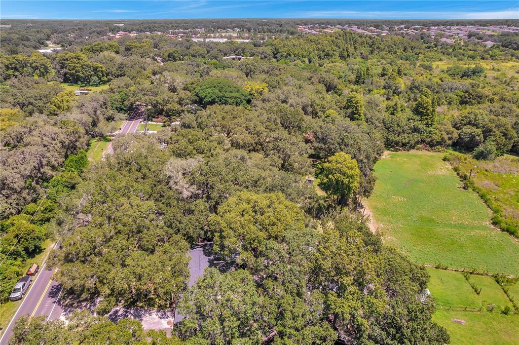 7405 Williams Road Seffner, FL 33584 - Photo 99 of 100 a view of a yard