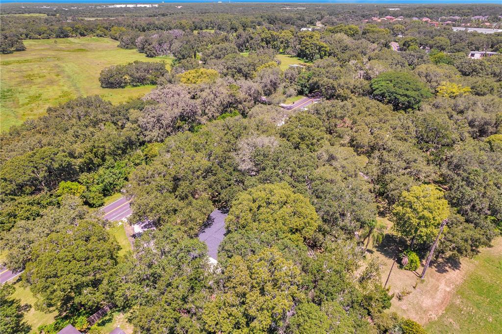 7405 Williams Road Seffner, FL 33584 - Photo 100 of 100