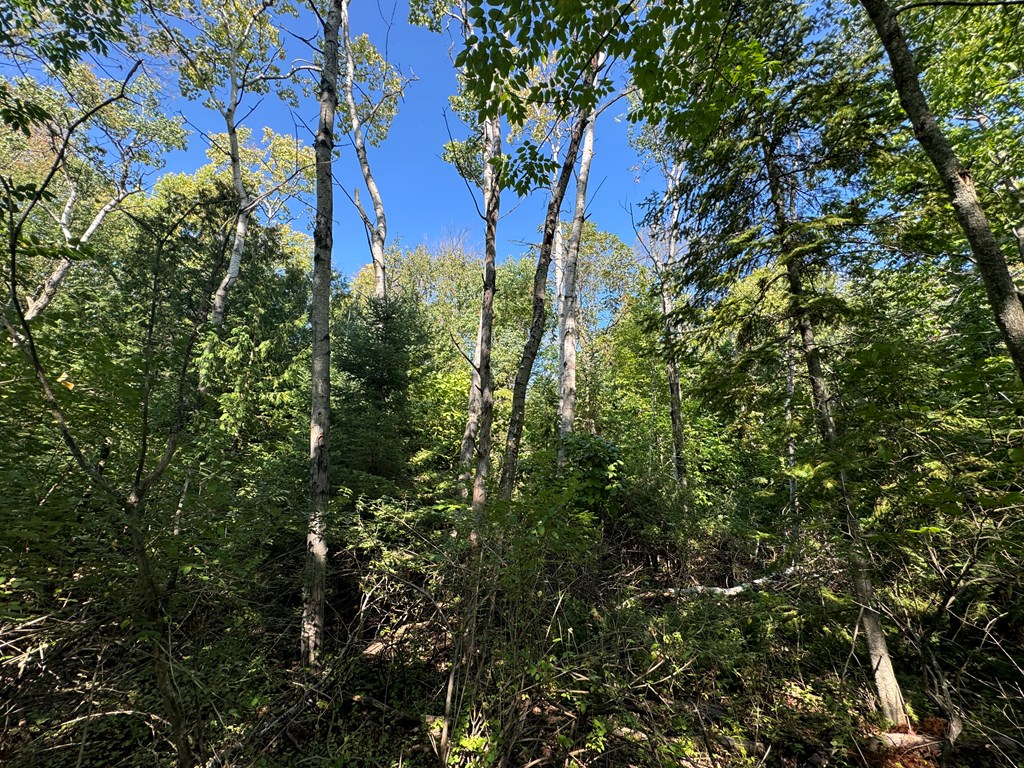 Lot 2 Horseshoe Bay Road Egg Harbor, WI 54209 - Photo 4 of 5