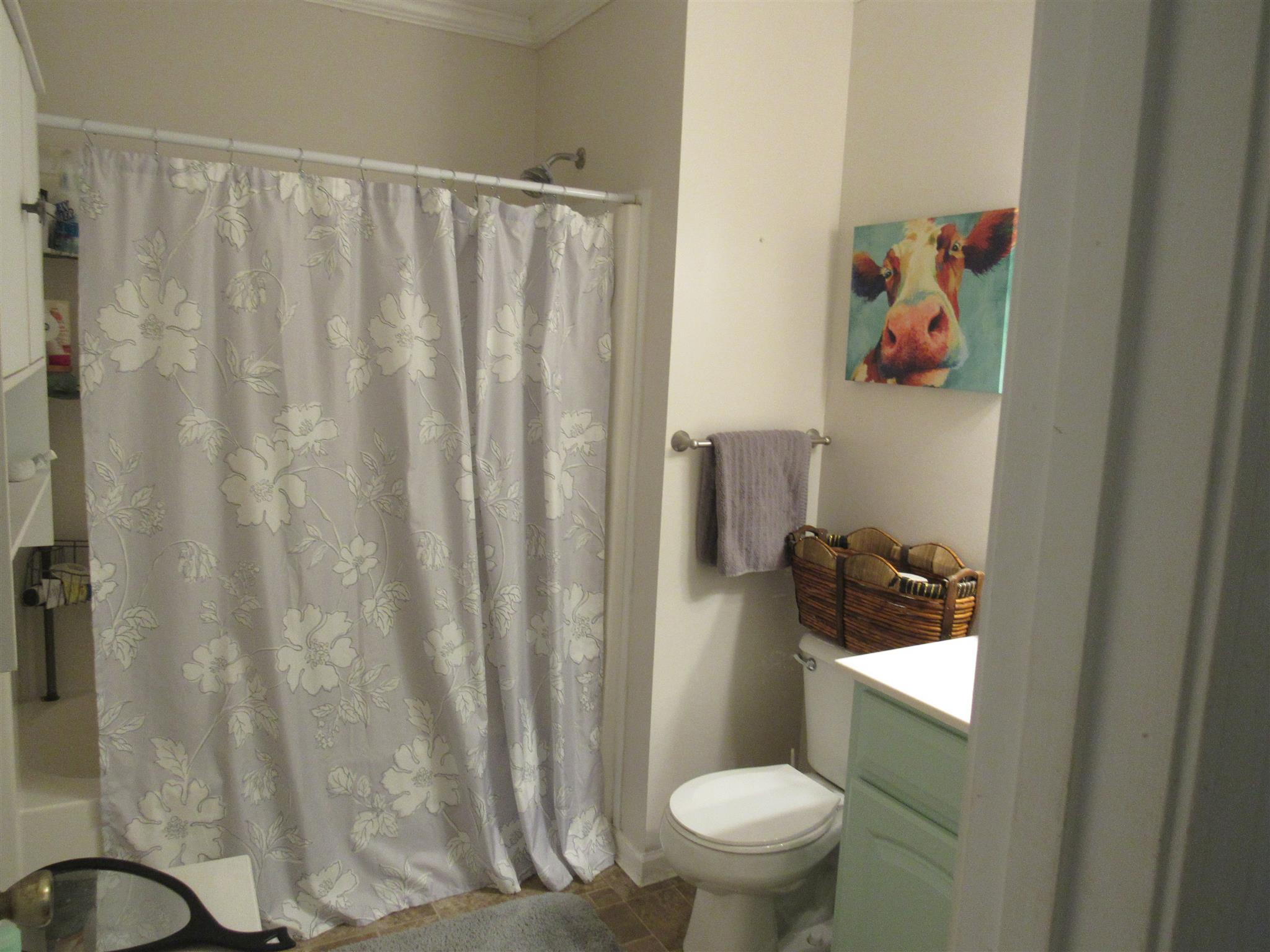 610 Cook Road Portland, TN 37148 - Photo 9 of 18 a bathroom with a toilet and a shower curtain