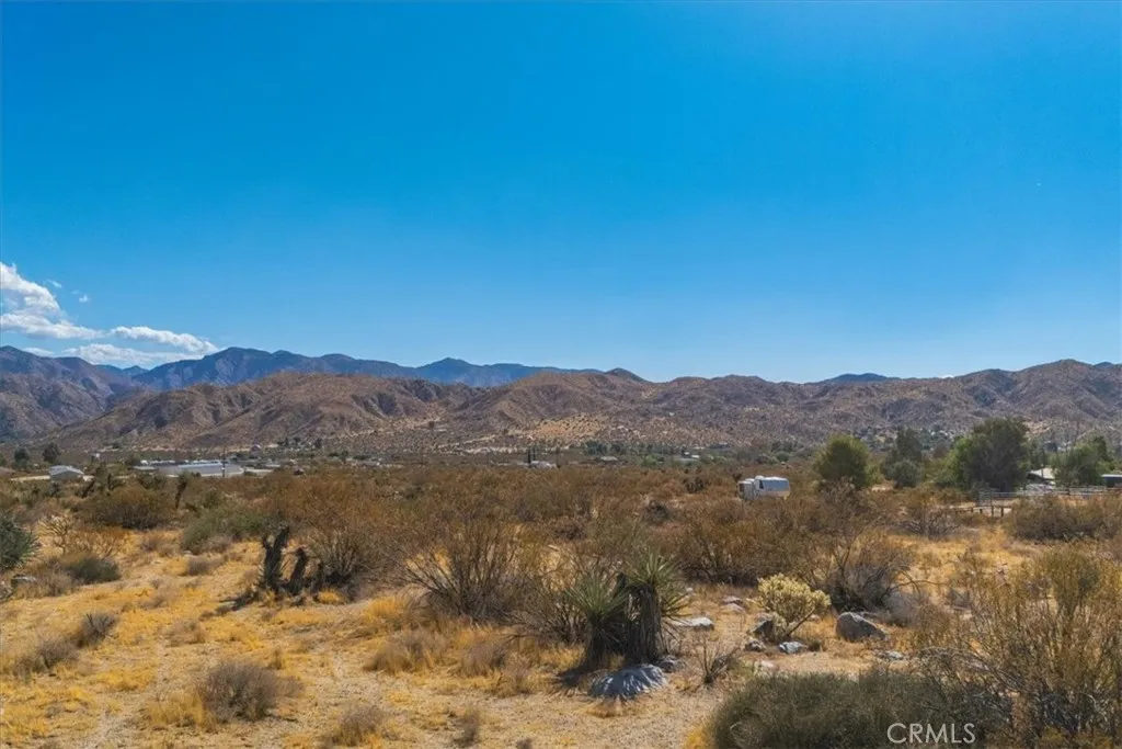 9457 Fobes Morongo Valley Morongo Valley, CA 92256 - Photo 23 of 34 a view of a forest with mountains in the background