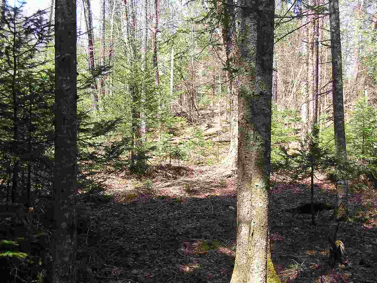 298 North Shore Road, Unit 1AB Greensboro, VT 05841 - Photo 3 of 6
