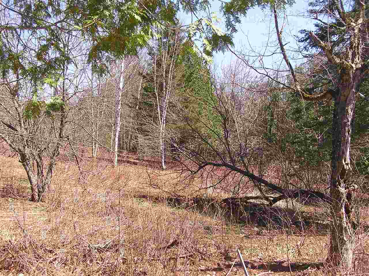 298 North Shore Road, Unit 1AB Greensboro, VT 05841 - Photo 4 of 6