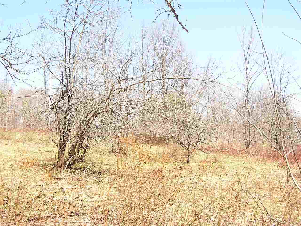 298 North Shore Road, Unit 1AB Greensboro, VT 05841 - Photo 5 of 6