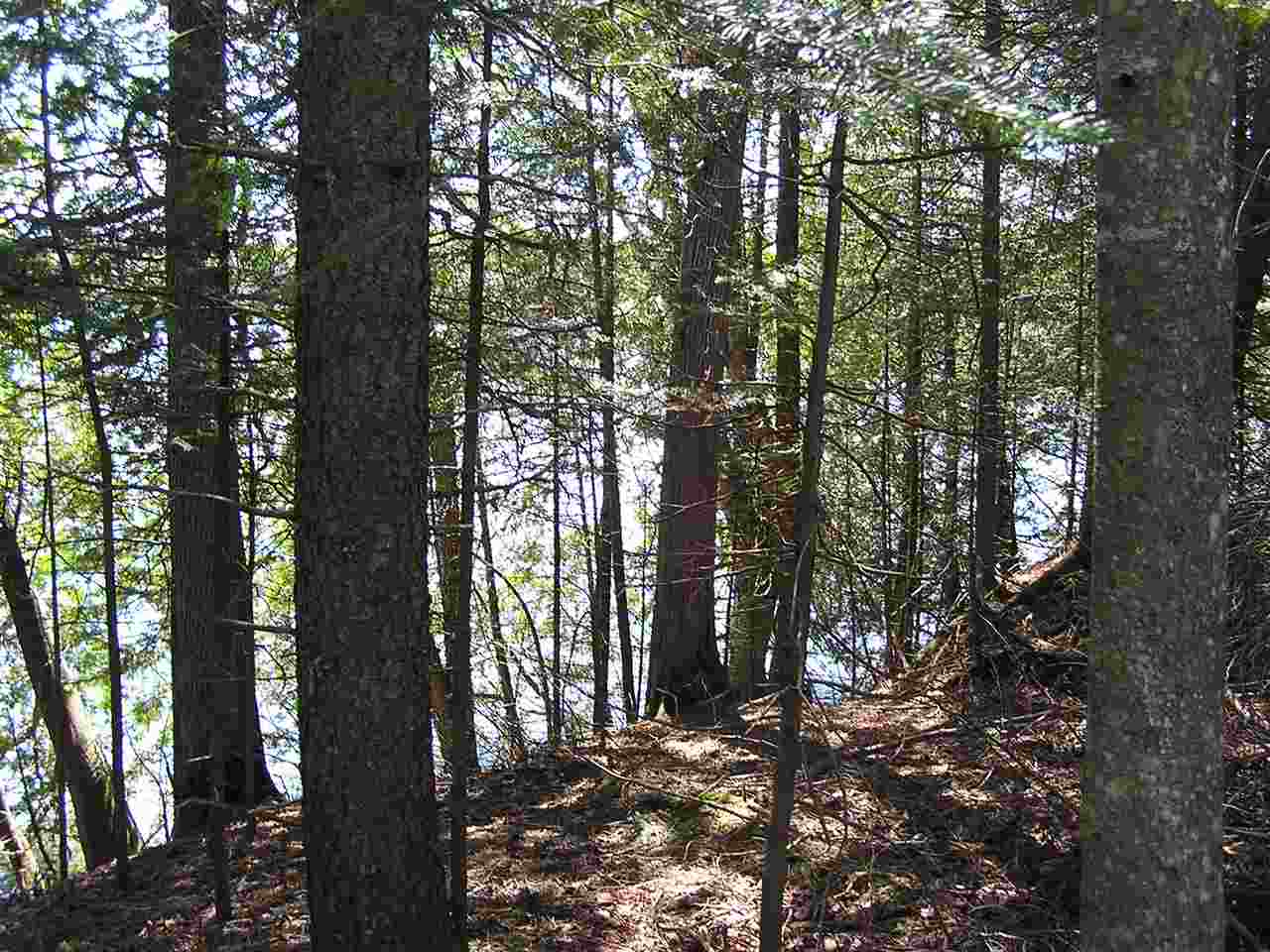 298 North Shore Road, Unit 1AB Greensboro, VT 05841 - Photo 6 of 6
