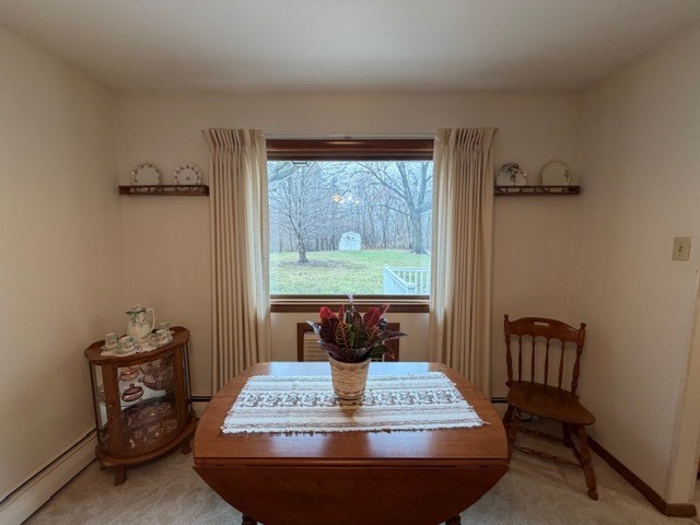 5563 Stone Drive Clinton, IL 61727 - Photo 10 of 34 a view of a dining room with furniture window and outside view
