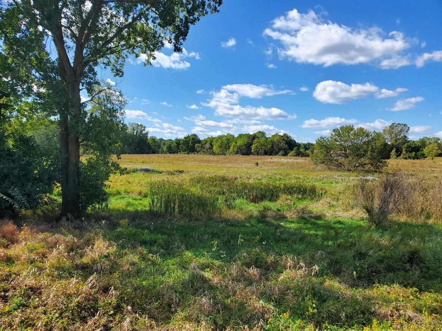 0 Grass Lake Road Grass Lake, MI 48158 - Photo 1 of 5 Photo 1