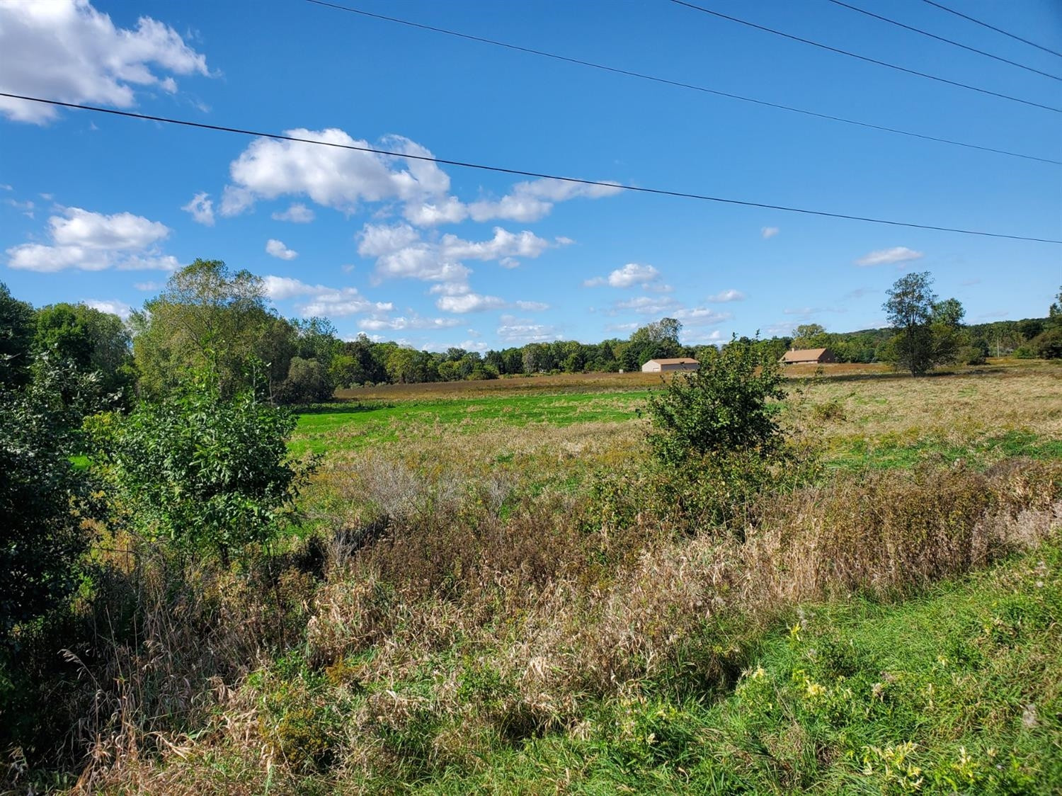0 Grass Lake Road Grass Lake, MI 48158 - Photo 3 of 5 Photo 3