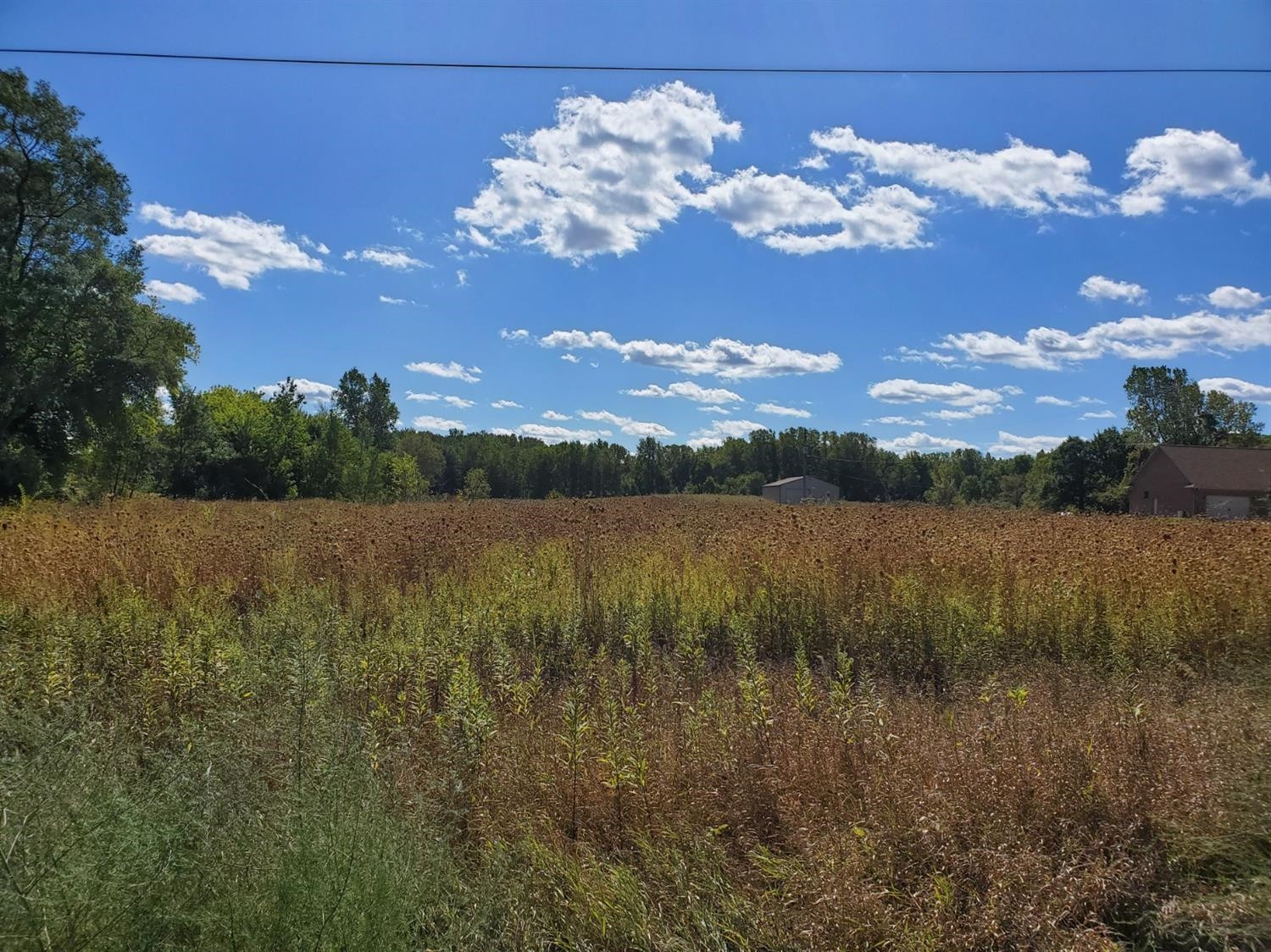 0 Grass Lake Road Grass Lake, MI 48158 - Photo 4 of 5 Photo 4