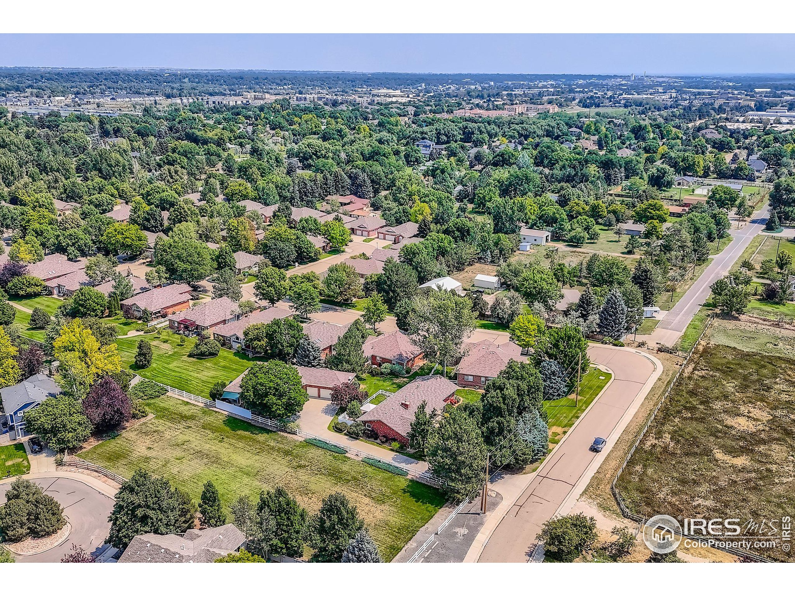 3600 Quail Road Longmont, CO 80503 - Photo 9 of 39 a view of a lush green forest with a house