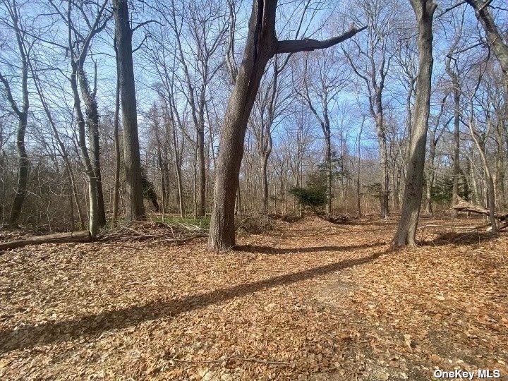 a view of a yard covered with snow