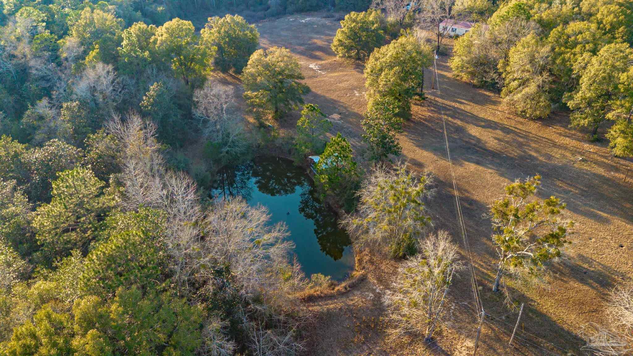 5150-5172 Siripon Road Milton, FL 32570 - Photo 4 of 54 a view of a garden with plants